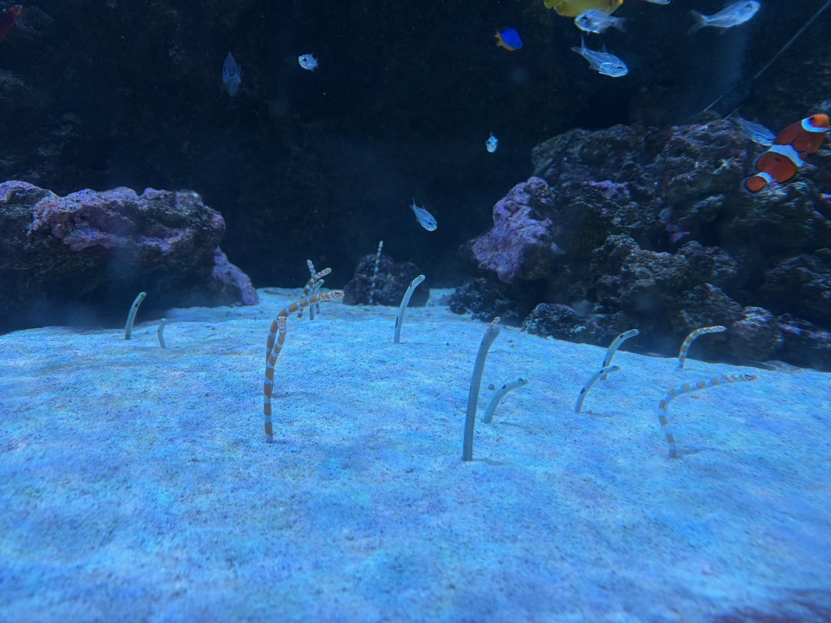 ひな。❕🤍 tweet media