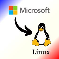 FRENCHRAPUS 🇺🇸 tweet media