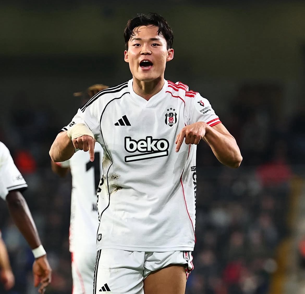 Ağaçlı Yol tweet media