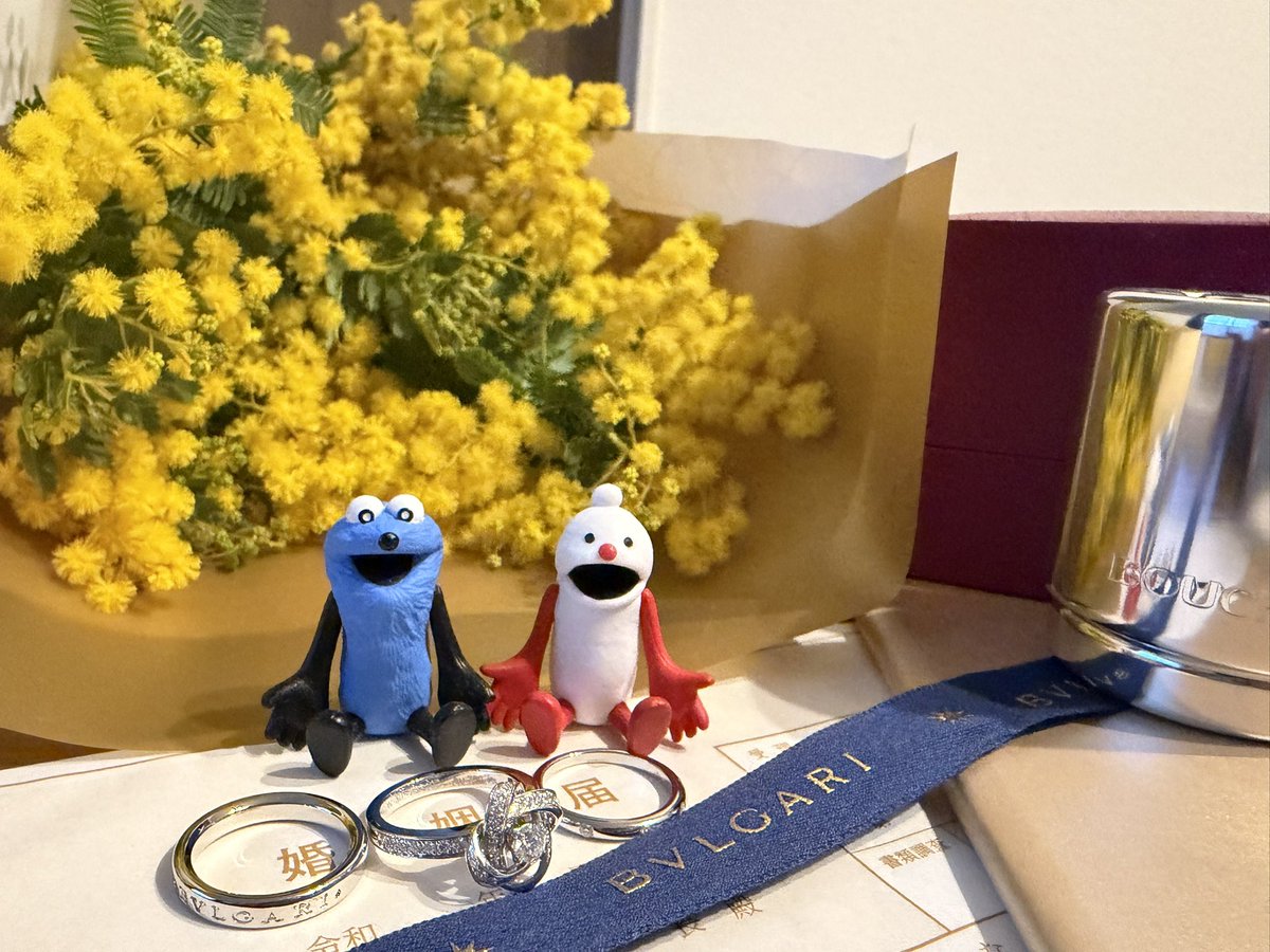 せら🥖 tweet media