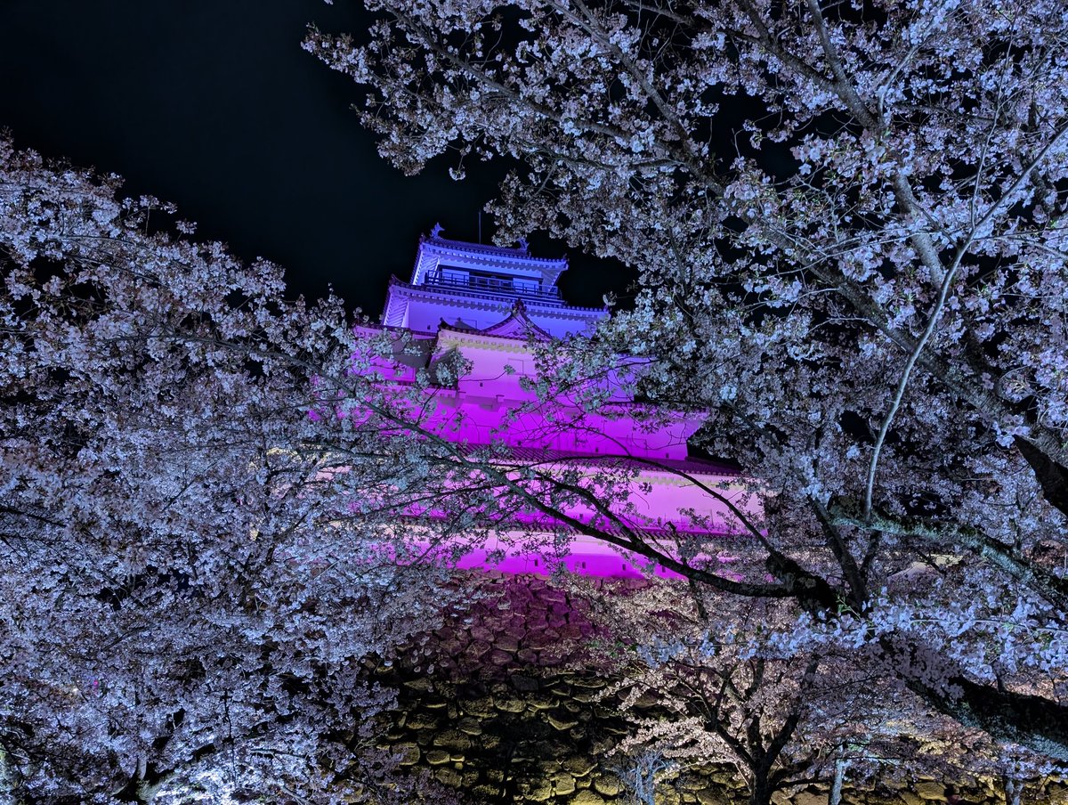 駿河の民 tweet media