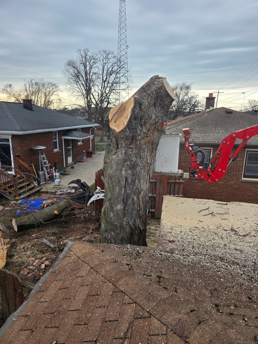 kdtreesyracuse's tweet image. From towering hazard to a clean, safe yard ✅
This tree removal took skill, planning, and the right team to get it done without a problem.
That’s what KD Tree Service delivers every time.
📞 315-902-1222
#SupportLocal #SmallBusiness #TreeCutting #TreeWork #Arborist #TreeExperts
