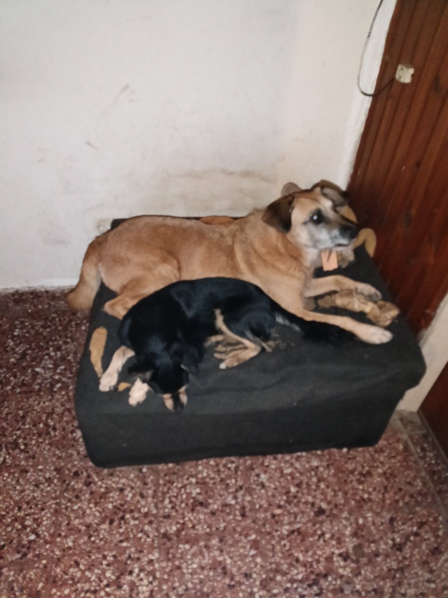 Σ𖼞₮₮ ꓘ𖼮ⵇ 🇦🇷 tweet media