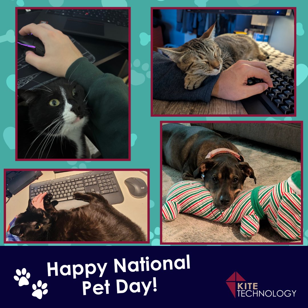 Kite Technology Group tweet media