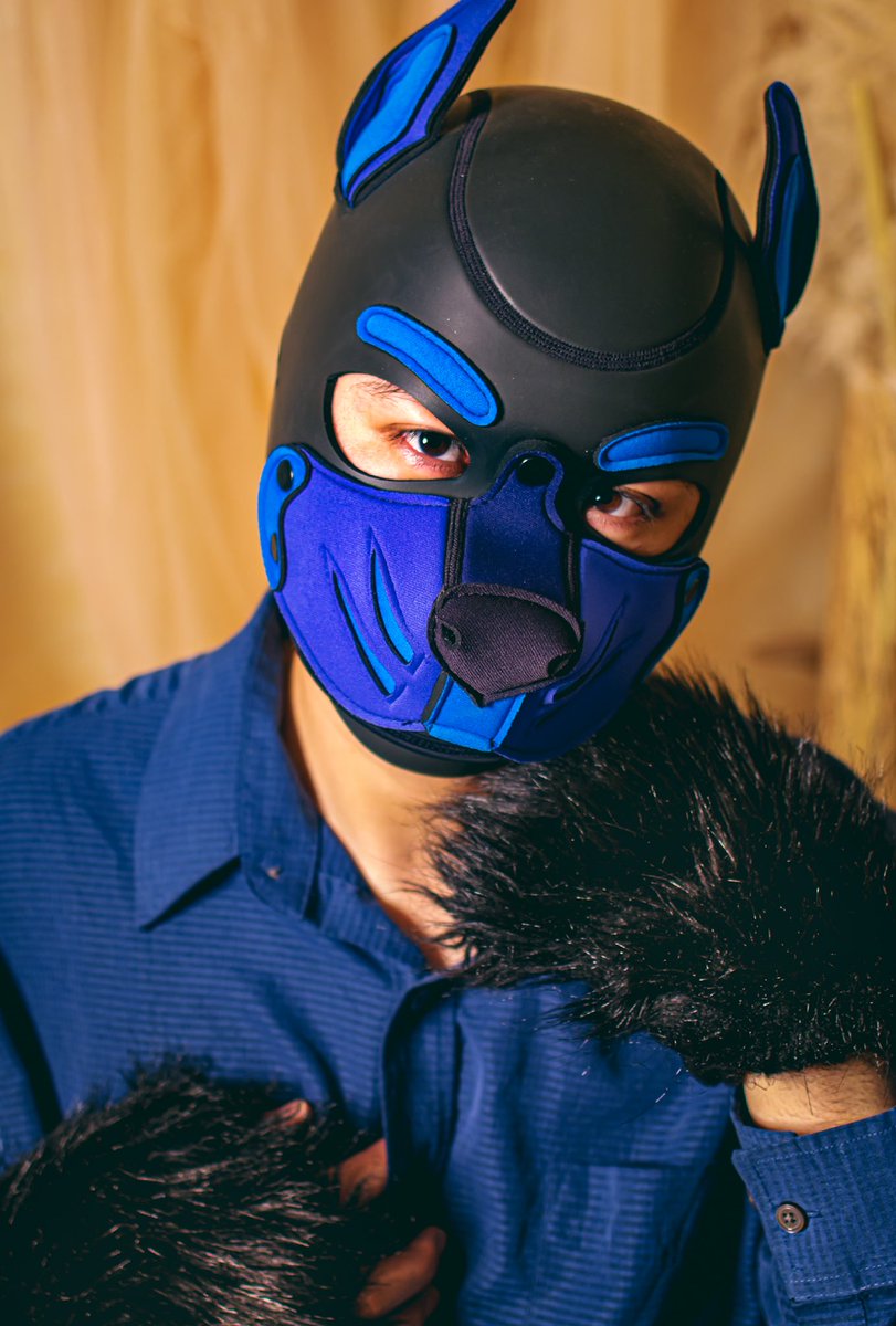 p4sPmc's tweet photo. ▶My Favorite Cool Blue Pup🔷◀
📷 @p4sPmc
🐕🦺 @hHaru12_
#WanOneFrame https://t.co/MJMgvICTRD