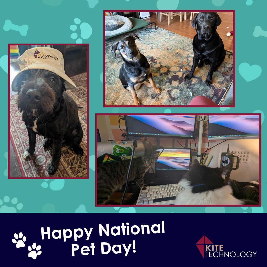 Kite Technology Group tweet media