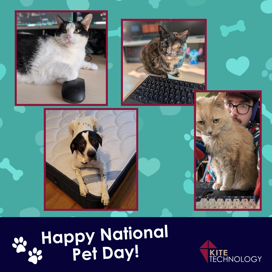 Kite Technology Group tweet media