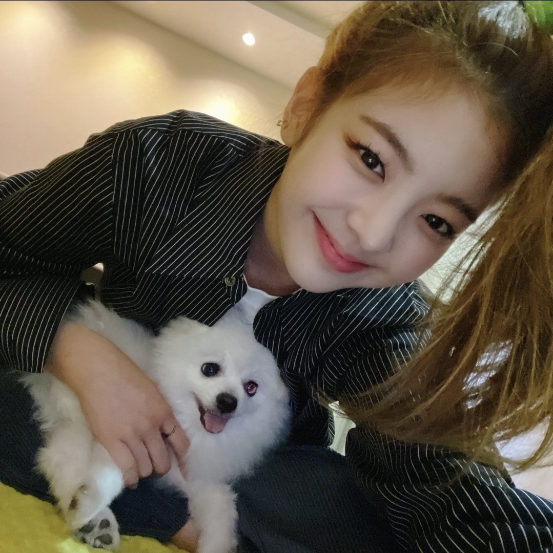 itzy old files tweet media