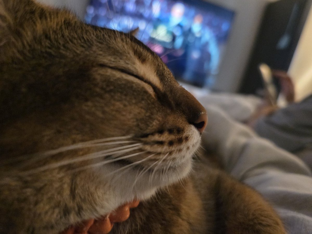 ねおにゃん tweet media