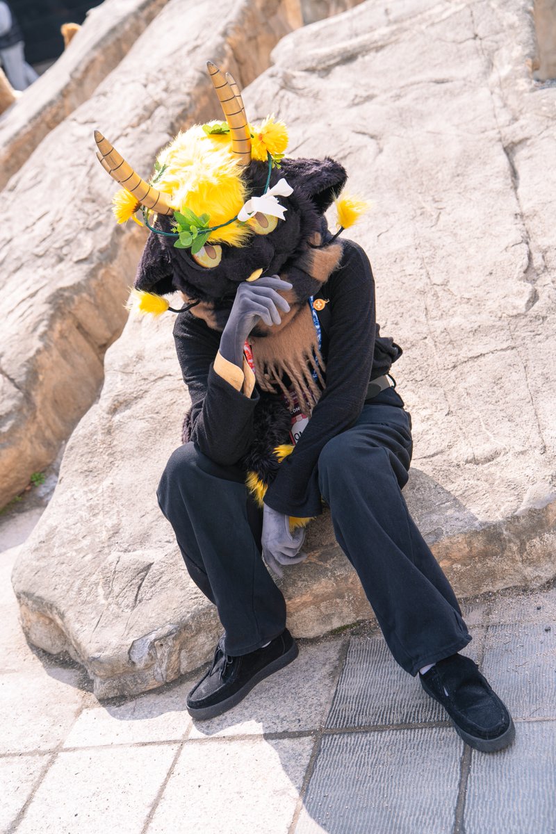 ssodang 📸 tweet media