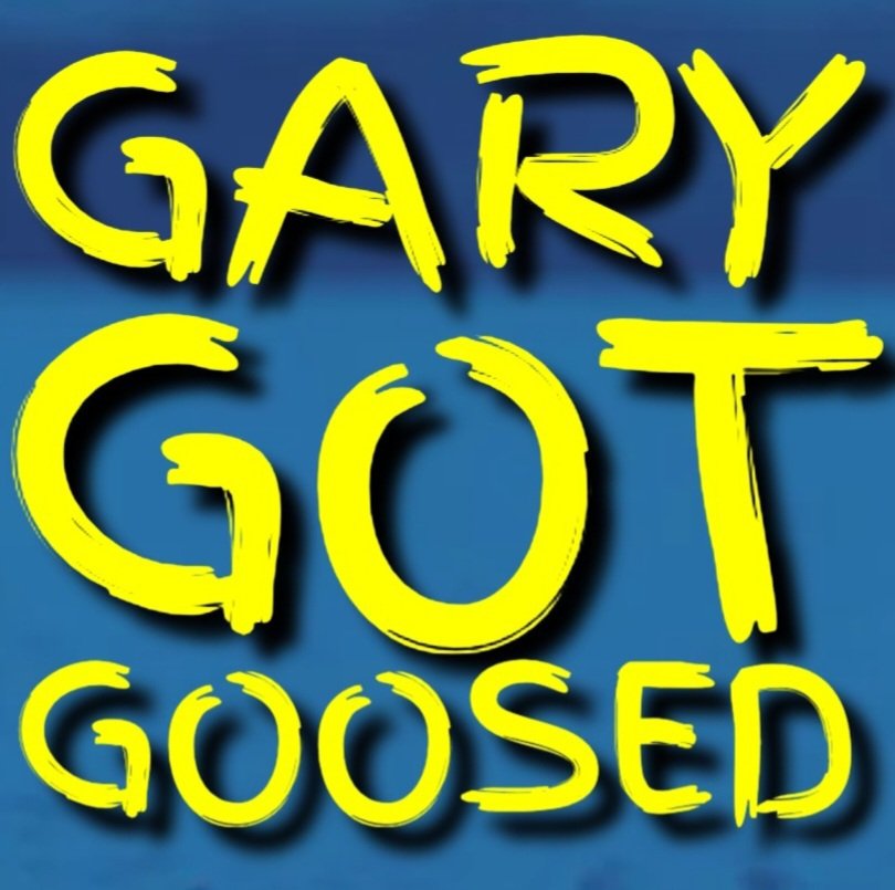 JRMontarbo's tweet image. It is done!🙌🙏
The story of Gary is complete!😀
I just need to get all my other ducks in a row &amp;amp; prepare for launch! I can't wait to get this story out there. This is my first novel, &amp;amp; what a fun process it's been! 

Stayed tuned,
Gary Got Goosed 
is coming soon!❤️
#GGG #Comedy