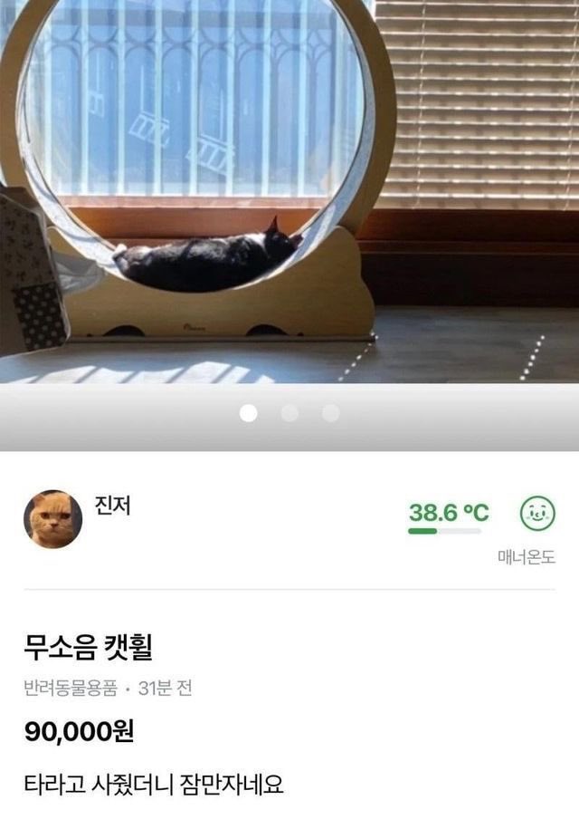 챱 tweet media