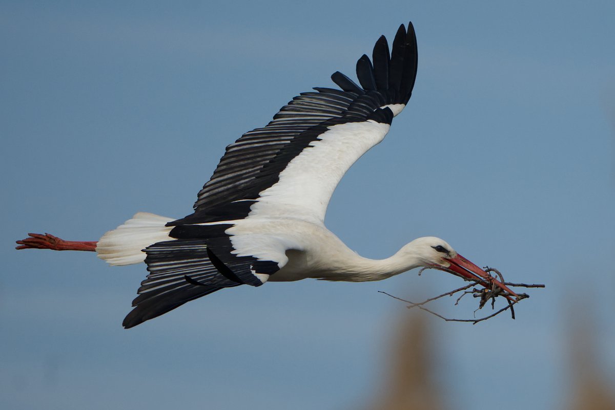 Mathias 🕊 🦋 tweet media