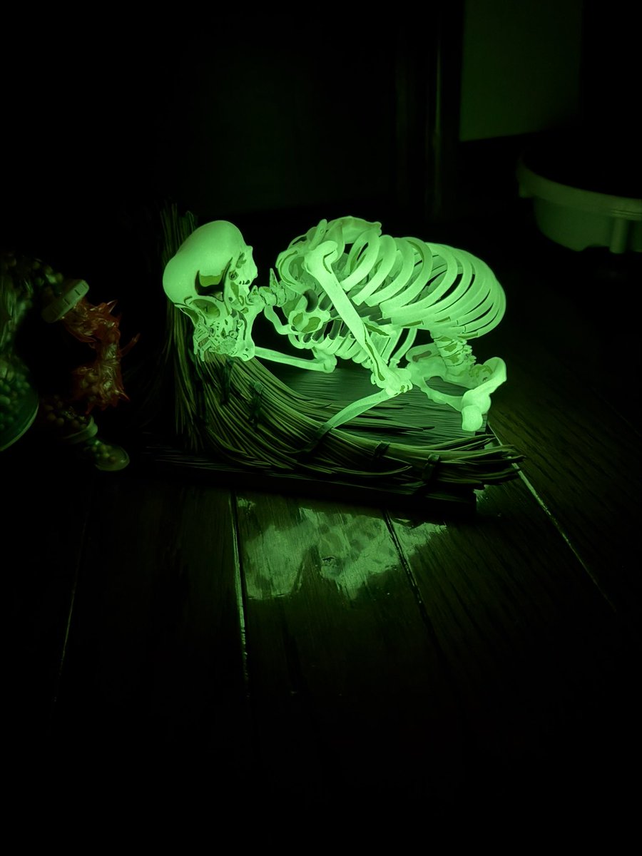 たつにゃん🛝（本物） tweet media