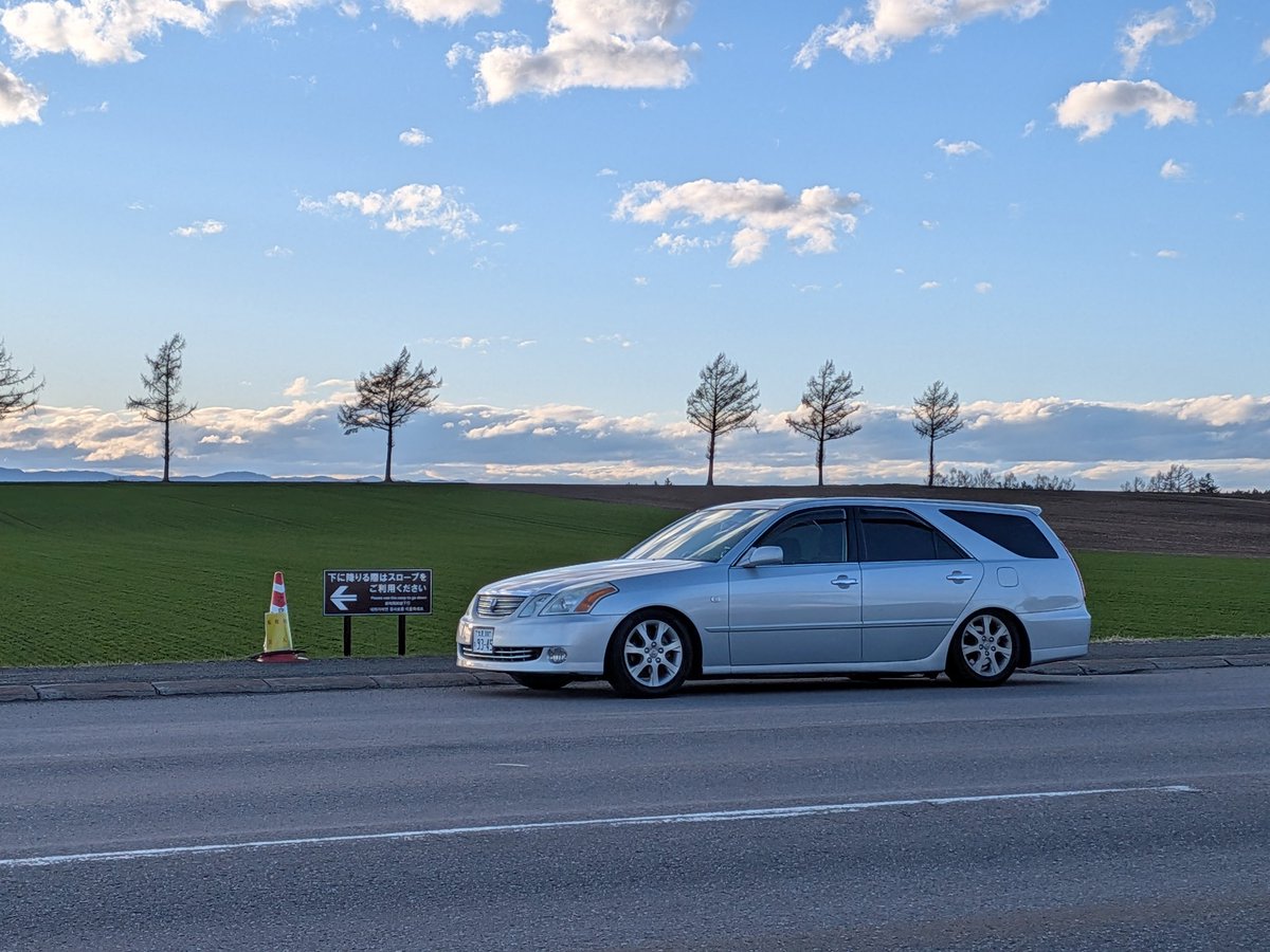 ｼｬｺﾇﾝ tweet media