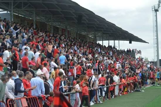 Afición Pontana tweet media