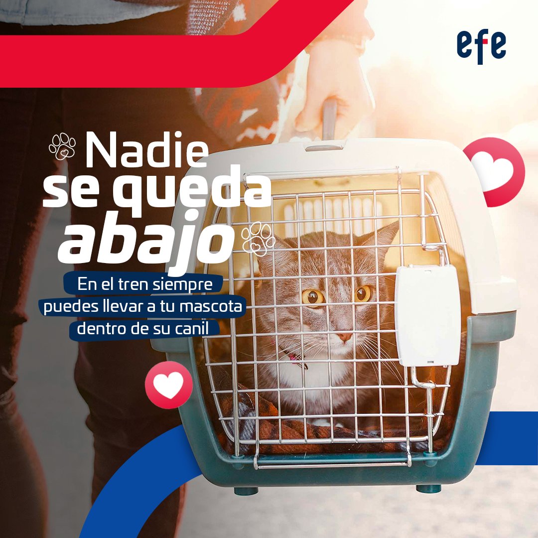 Tren Araucanía tweet media