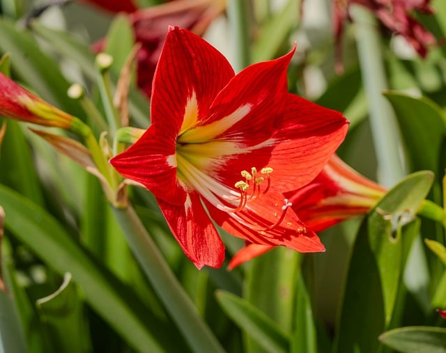 Jay Ducki tweet media