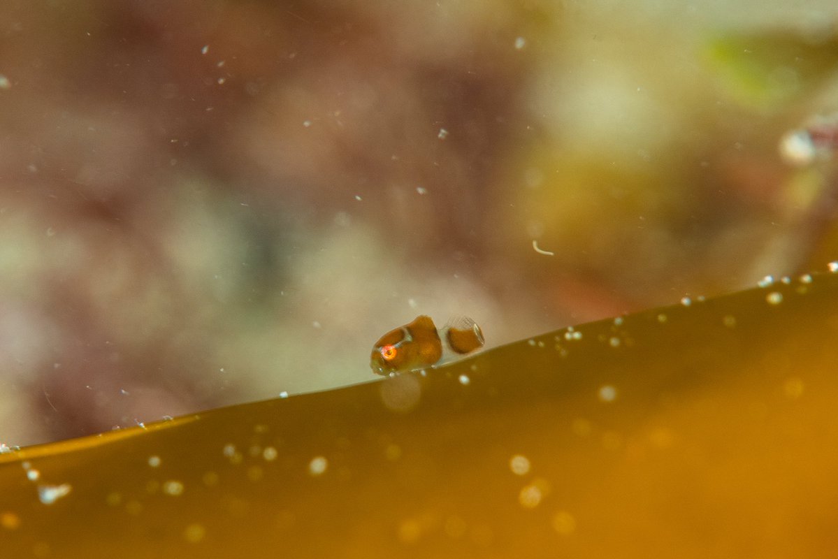 Masaki.S tweet media