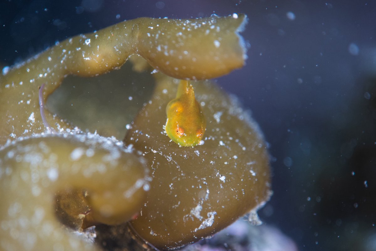 Masaki.S tweet media