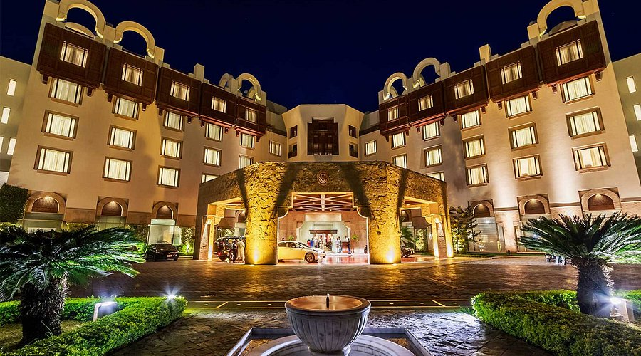 Tony Seruga tweet media