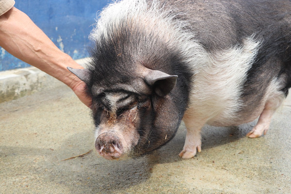 Denuncias Antioquia tweet media