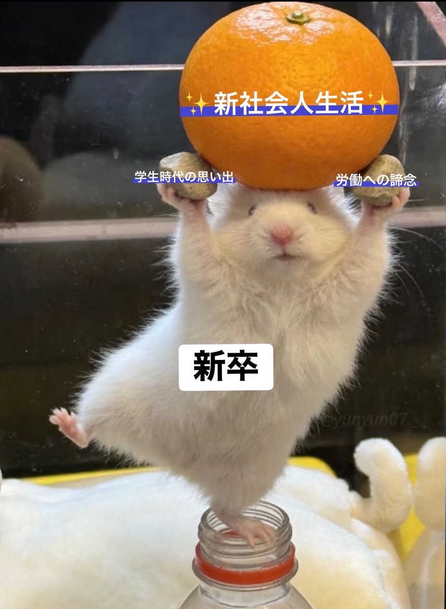 新卒に優しくしないといけない理由これ