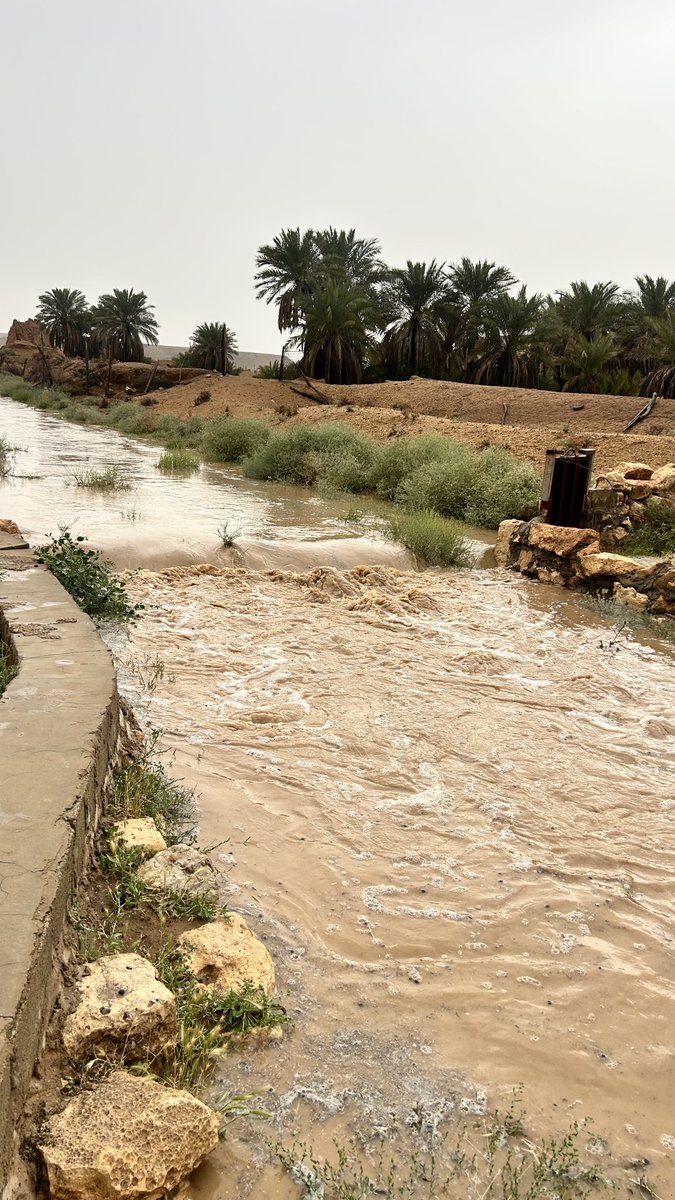 اخبار عودة سدير tweet media