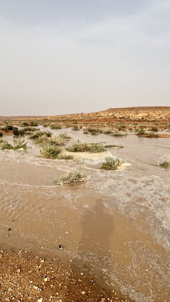 اخبار عودة سدير tweet media