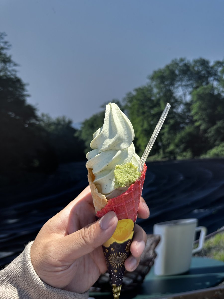 亞里亞＠趣味垢 tweet media