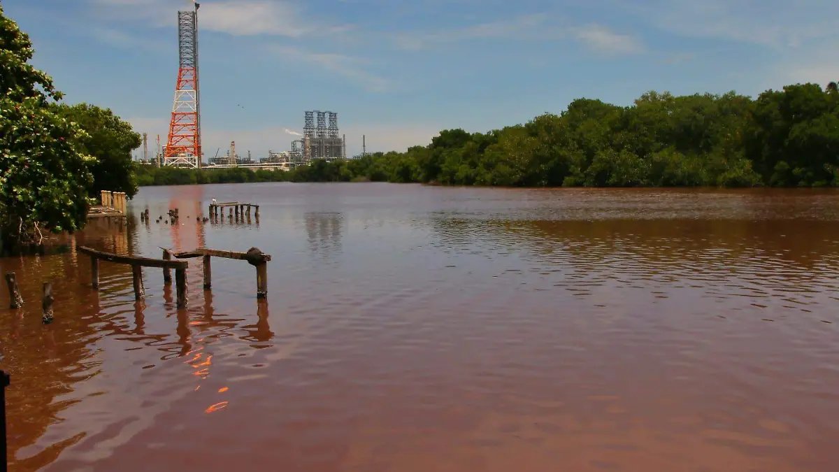 Juan Ortiz 🗳️👁‍🗨 tweet media