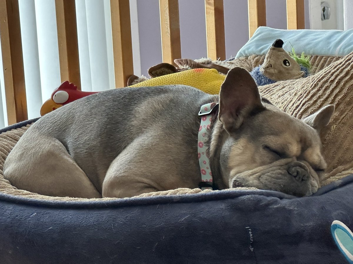 Patricque tweet media