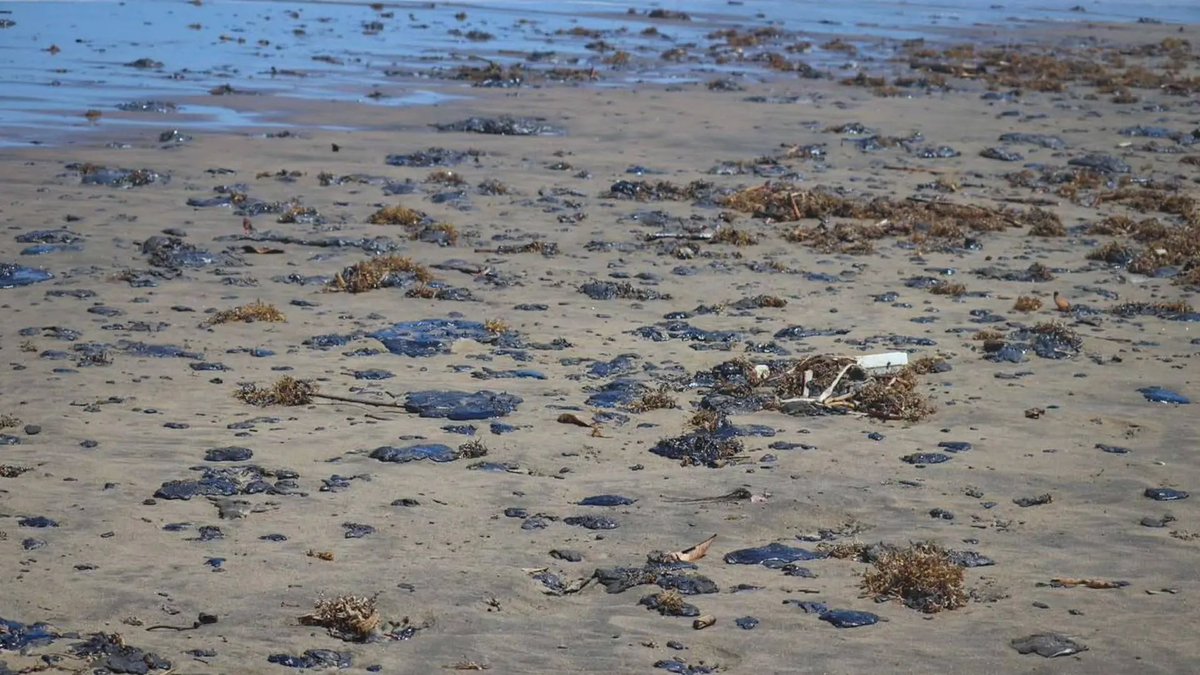 Juan Ortiz 🗳️👁‍🗨 tweet media