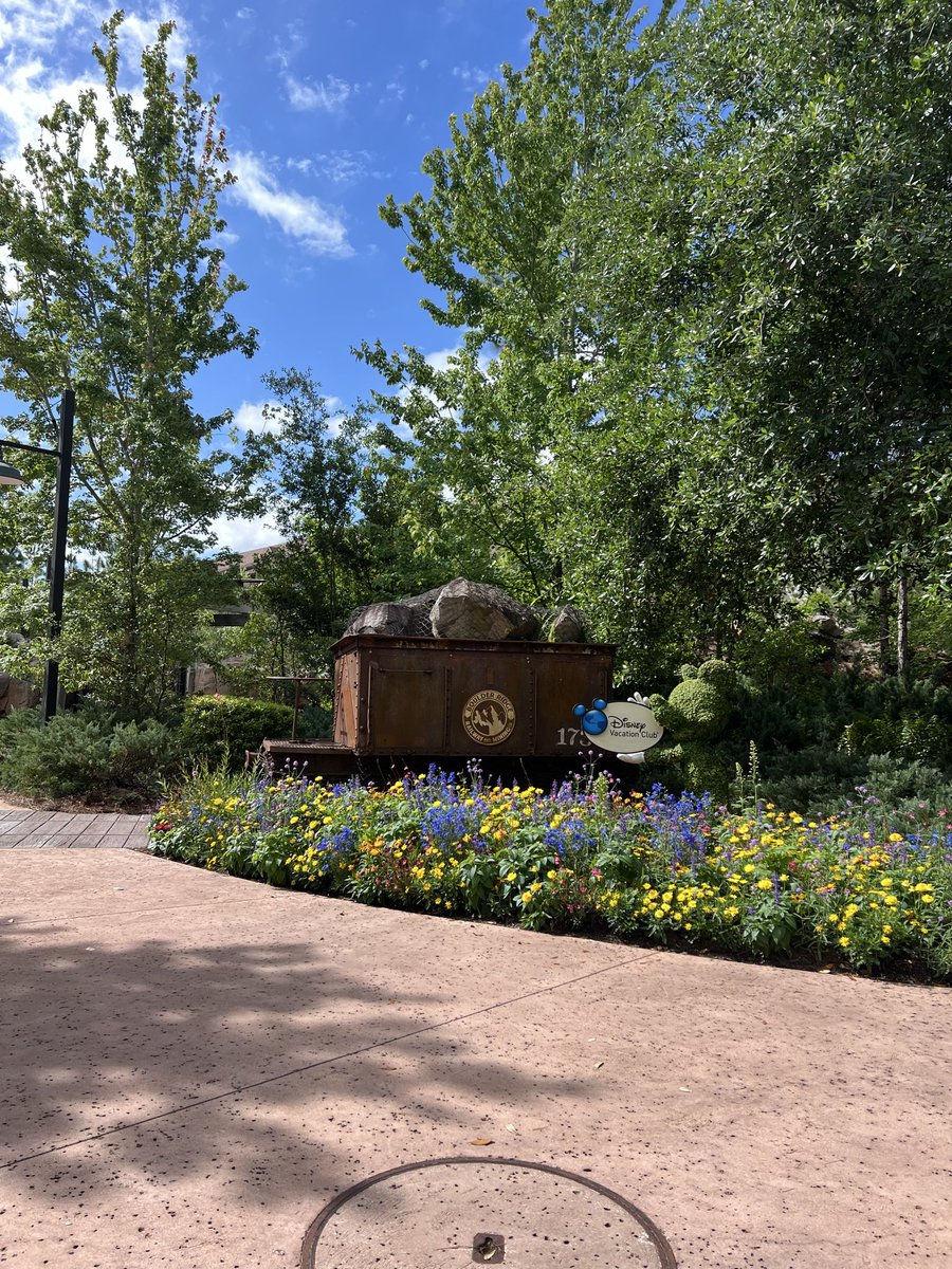 Bob Dankese tweet media