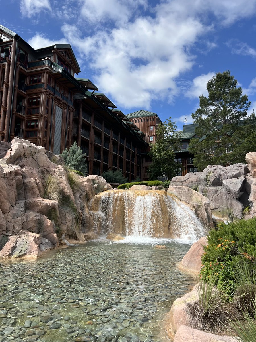 Bob Dankese tweet media