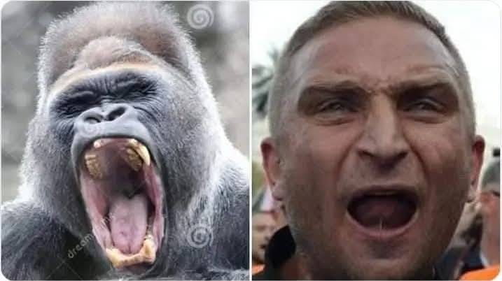 𝓐𝓷𝓭𝓻𝔃𝓮𝓳 𝓓𝓻𝓪𝓫𝓲𝓴 walczę też na bluesky tweet media