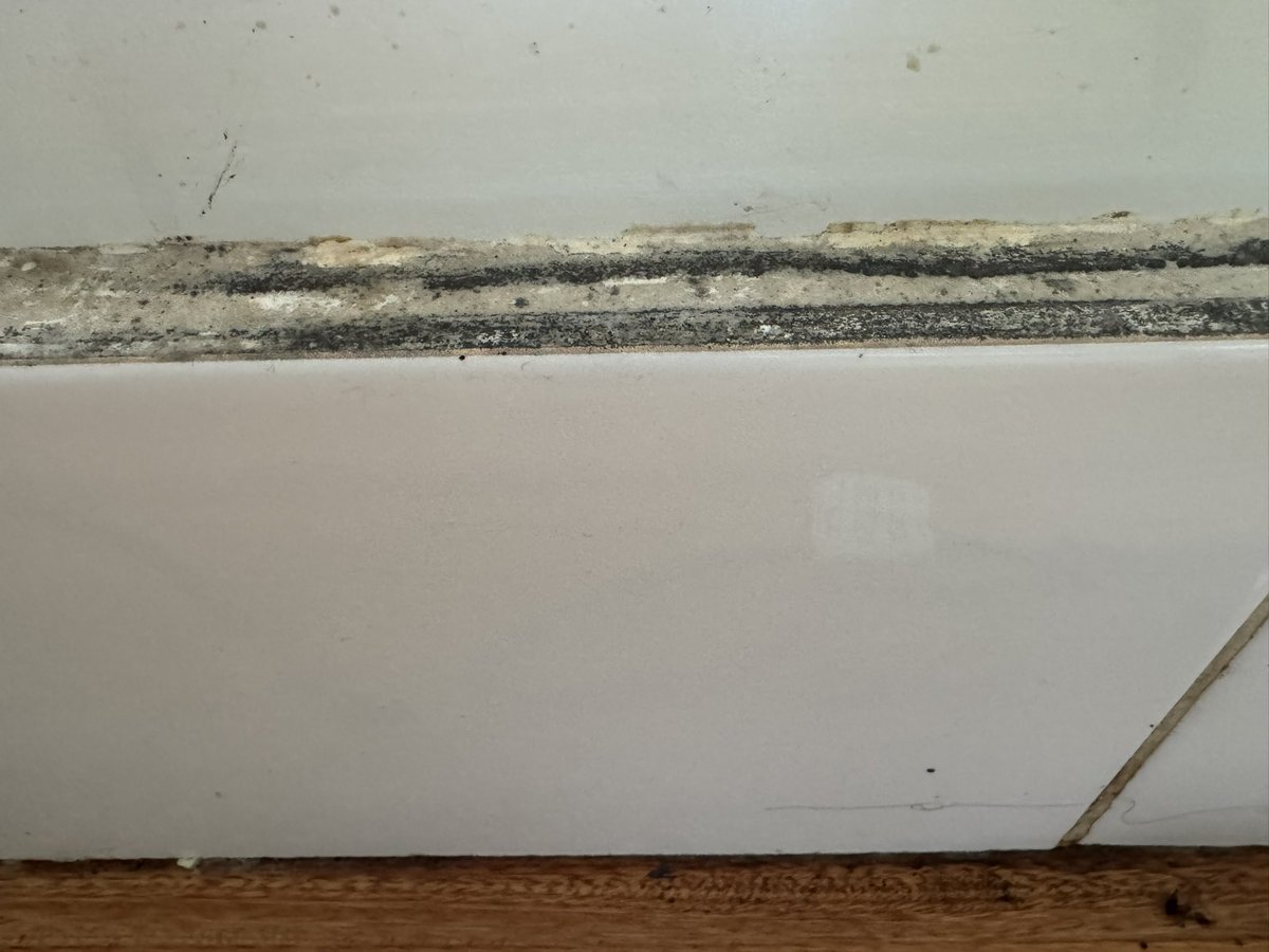 Huberto Bourlon “el Guiso” tweet media