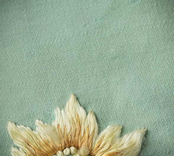 aCentral Folque tweet media