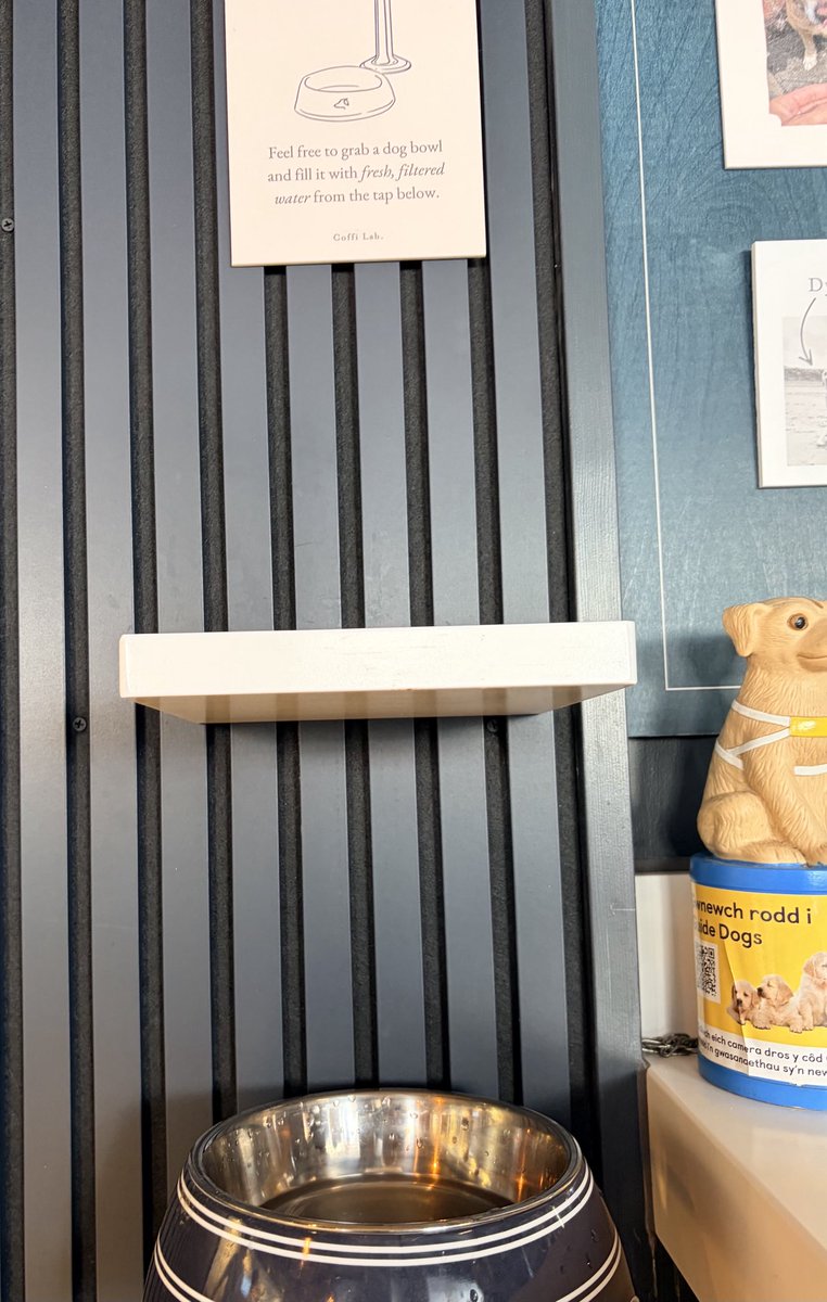 LittleGuyTed tweet media