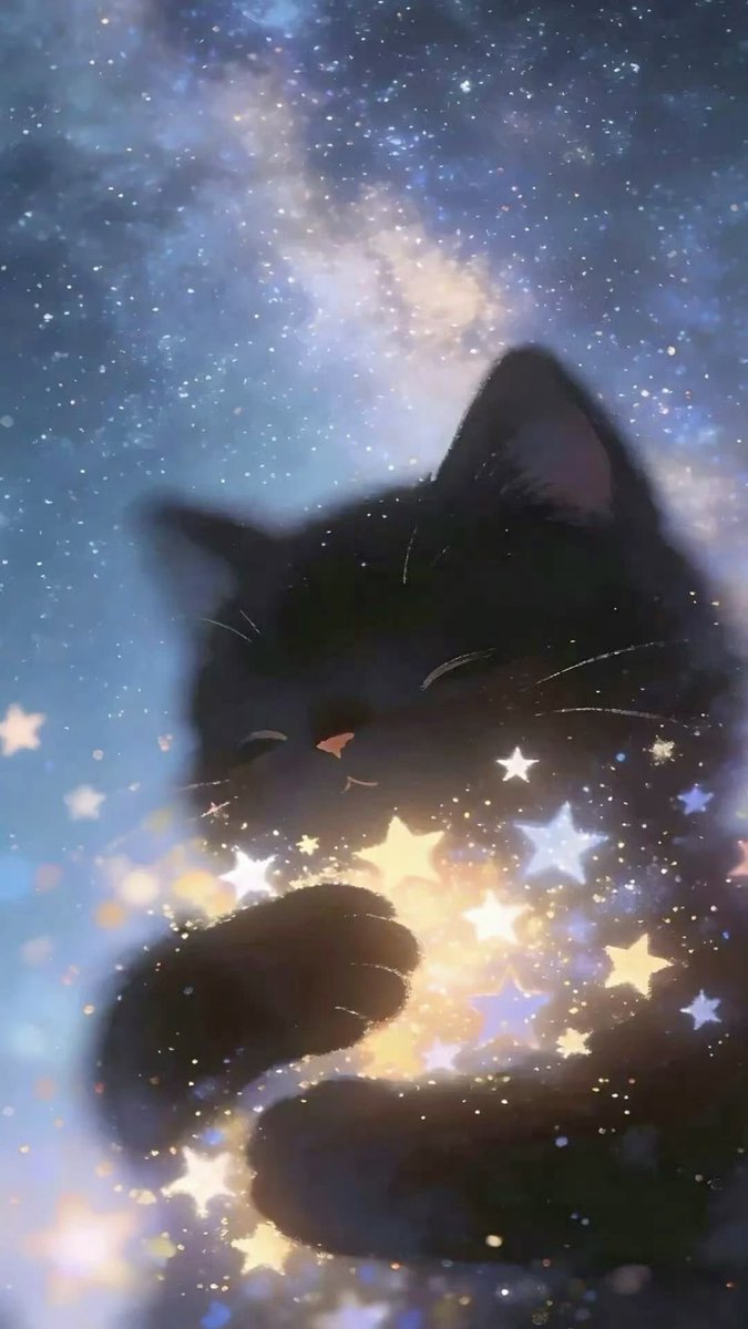 Solithra ☀️ tweet media