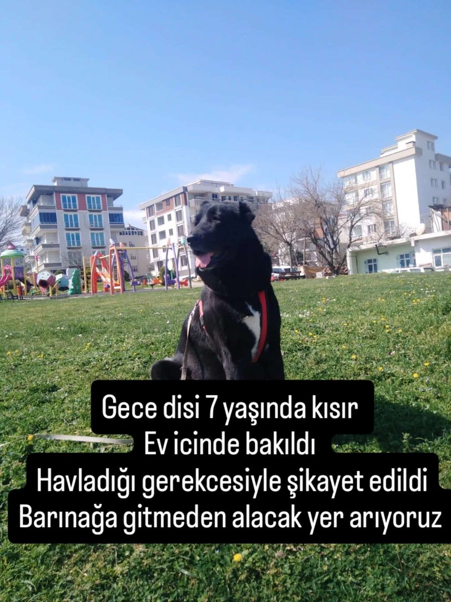 Hülya Erge tweet media