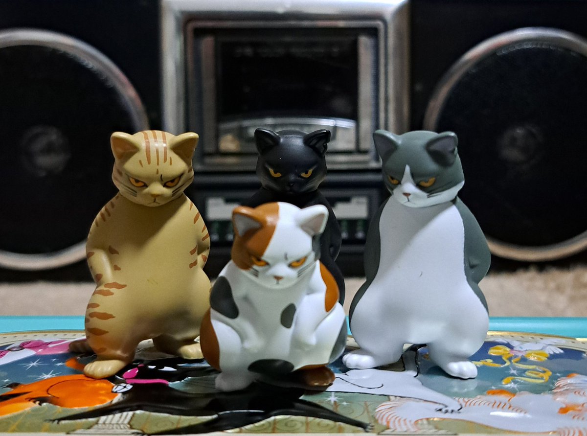 あ〜る🫀📻🔥(σ∋σ) 💪🏻( ´.-｀ 💪🏻)🐒🌻 tweet media