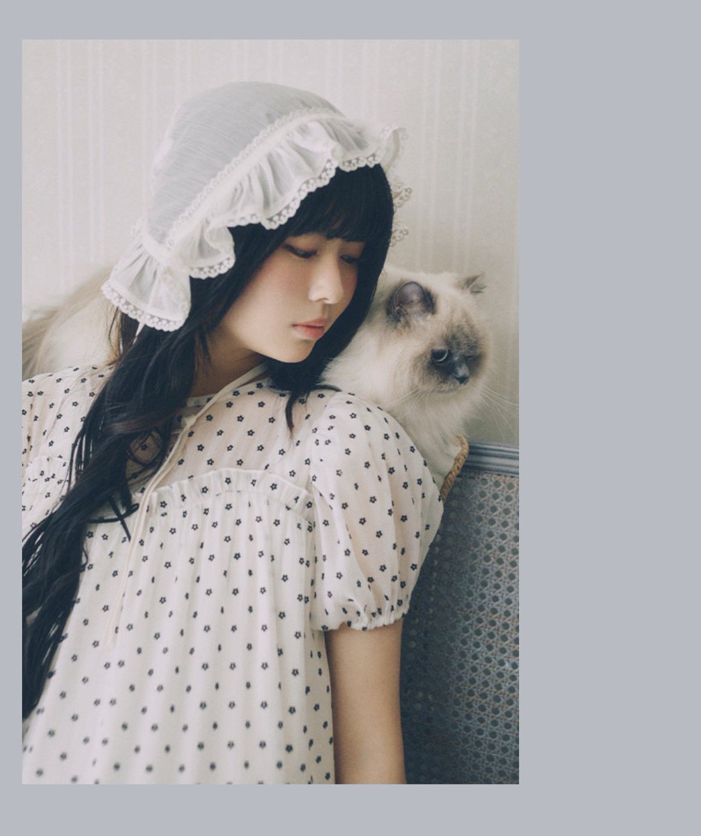 ぽぽたん tweet media