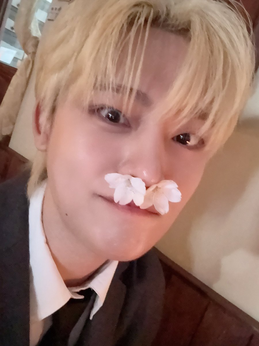 배바오 tweet media