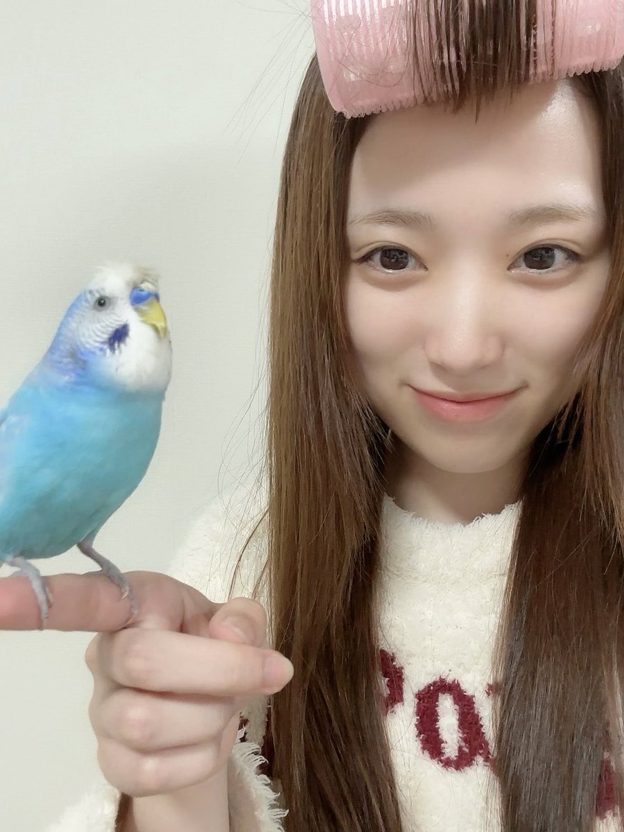 矢吹奈子 tweet media