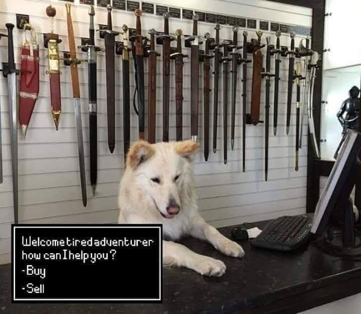 Nerdcognito tweet media