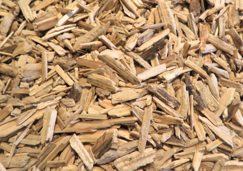 Widzewometr™ tweet media