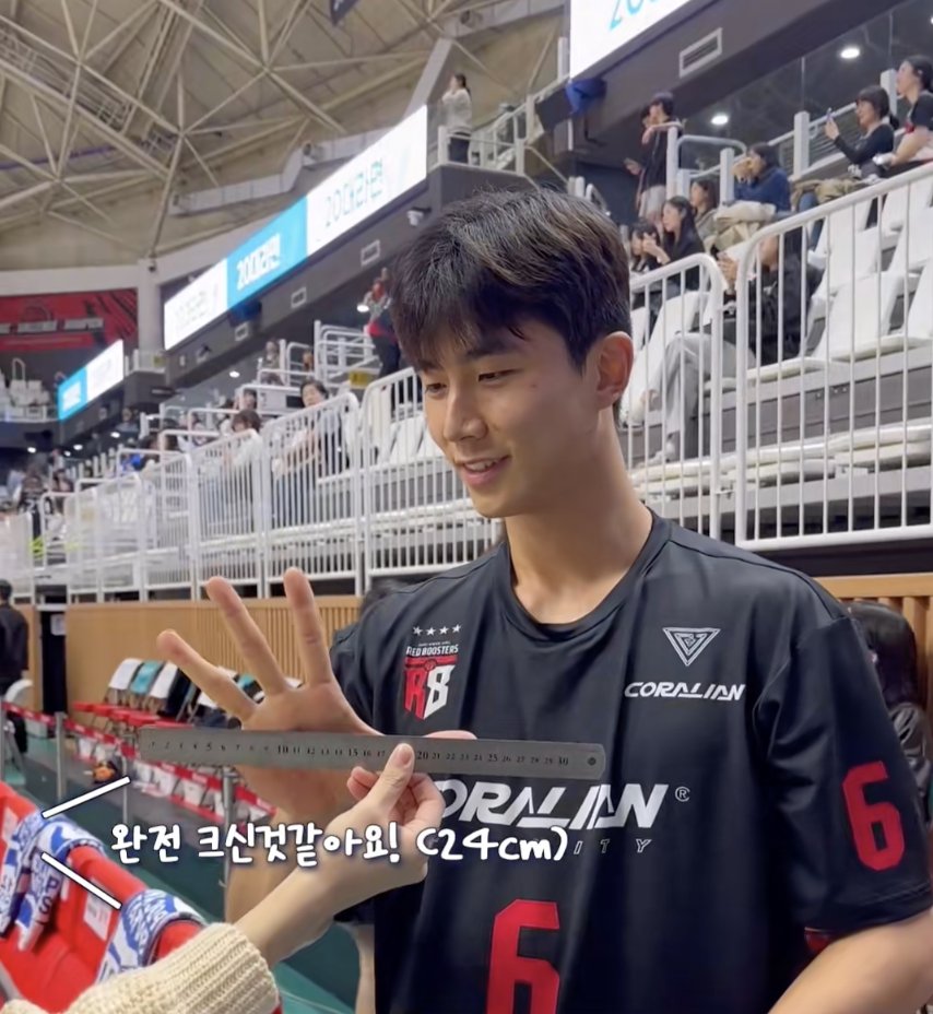 돌핀킥 tweet media