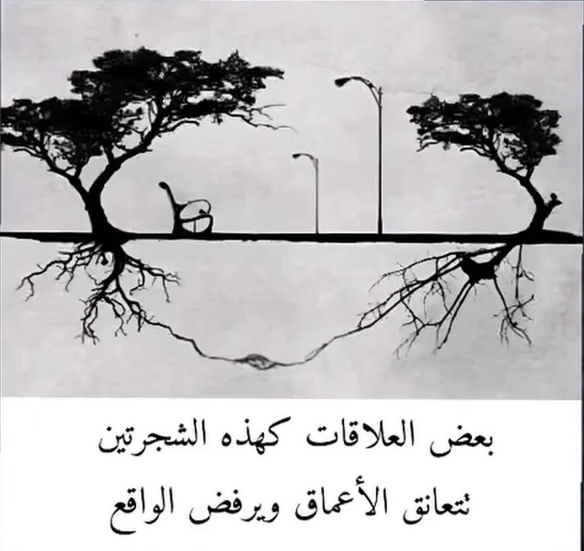 محمد ❤️ tweet media