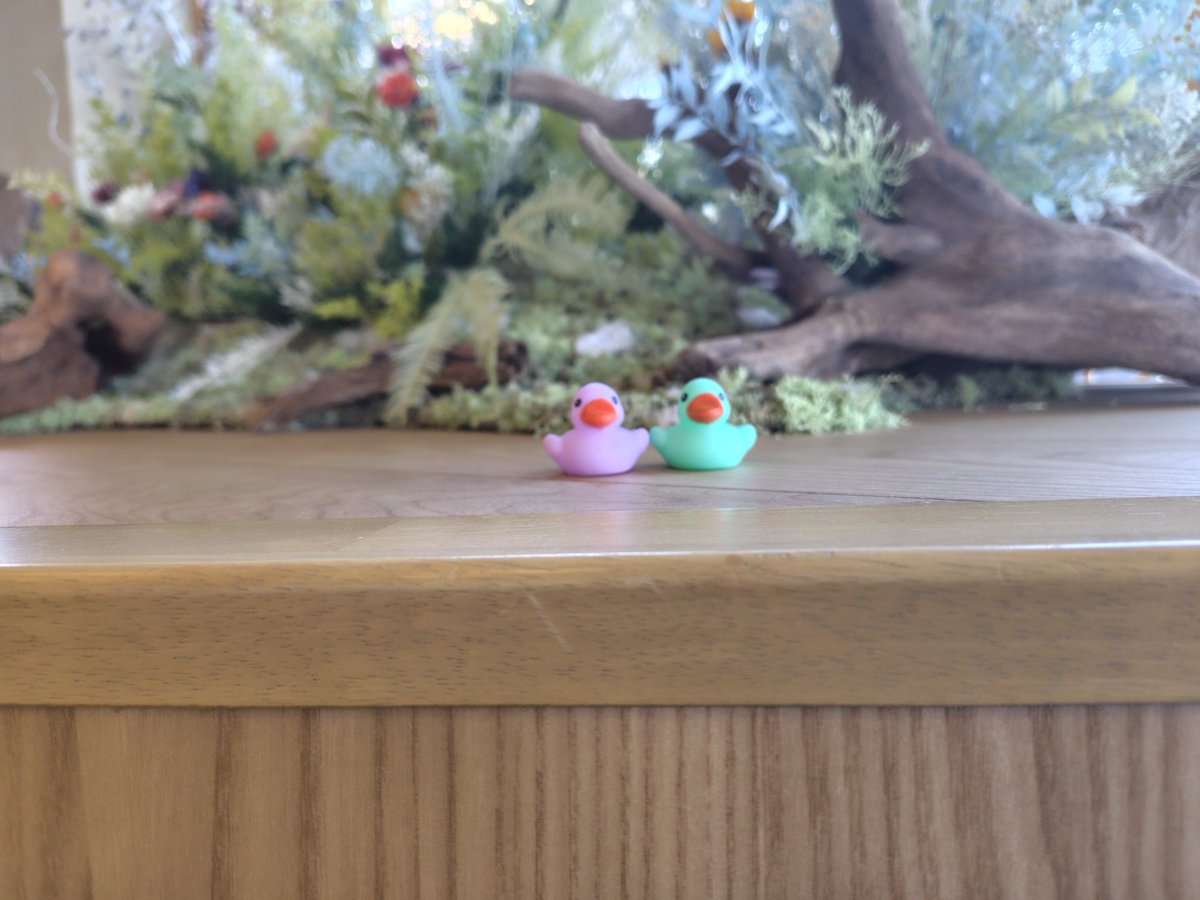 花緑青（ぷぃ） tweet media